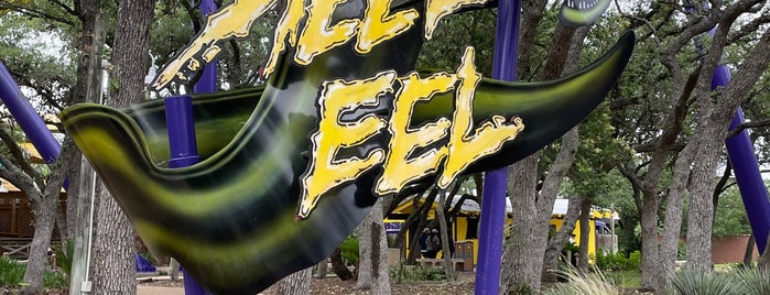 Steel Eel® is one of SeaWorld San Antonio.