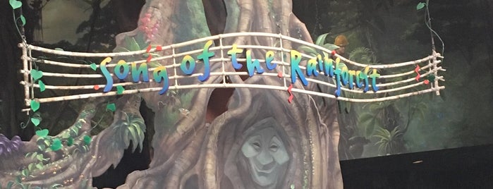 Song Of The Rainforest is one of US TRAVEL FL WDW 2.