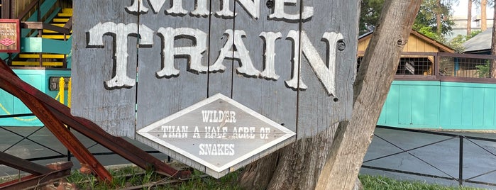Mini Mine Train is one of Six Flags Over Texas - The Big List.