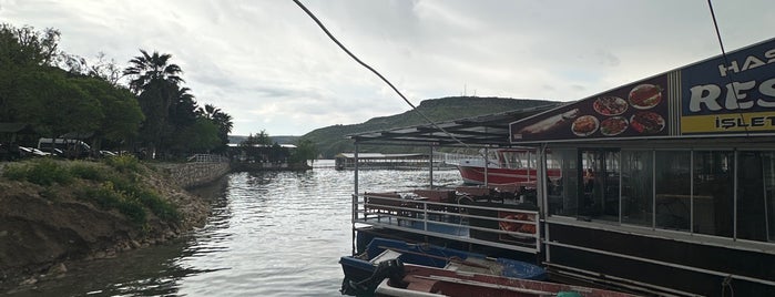 Halfeti Marina is one of Tempat yang Disukai Neslihan.