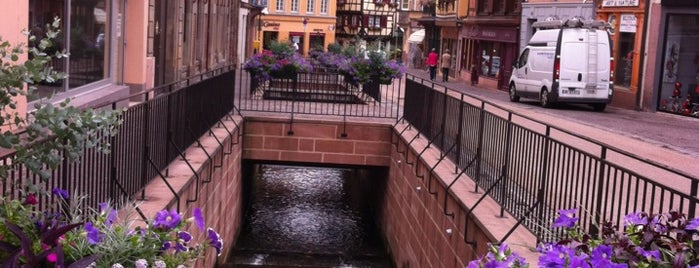 Colmar