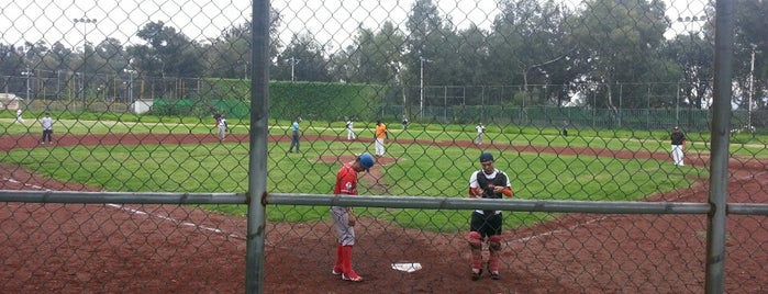 Campo Beisbol Tranviarios is one of Con los pekes.