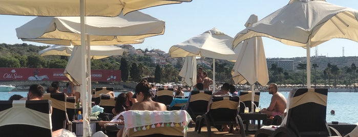 Shayna Beach Club is one of çeşme.