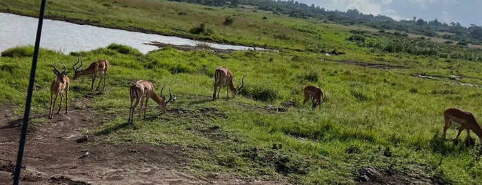 Nairobi National Park is one of Nairobi.