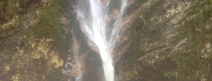 Parco Camosciara is one of True Nature: parks in Abruzzo.