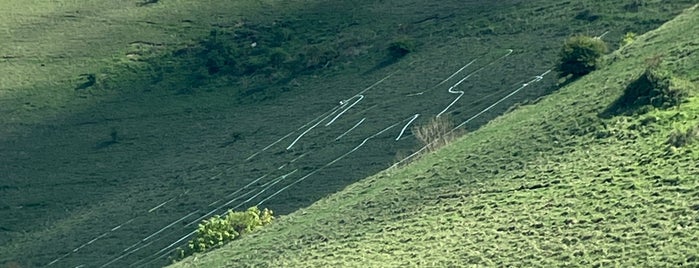 The Long Man of Wilmington is one of Favourite places in Eastbourne area.