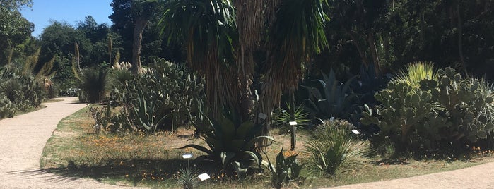 Botanical Garden Lokrum is one of mutlaka 2.kez gidilecek yerler.