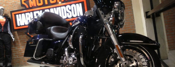 Autostar (Harley Davidson) is one of Motorbiking.