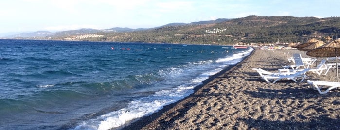 Haymatlos Beach is one of Assos.