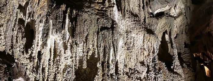 Ngarua Caves is one of Mull.