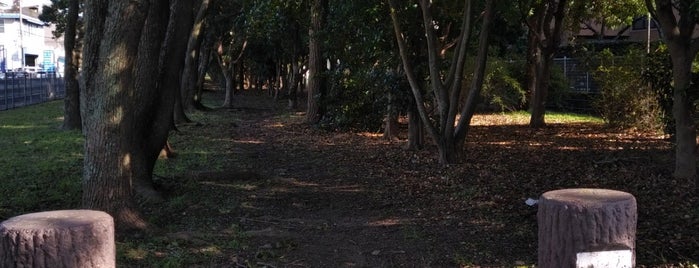 大洲緑地　憩いの森 is one of 公園.