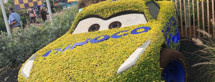 Road to the Florida 500 is one of Epcot International Flower & Garden Festival.