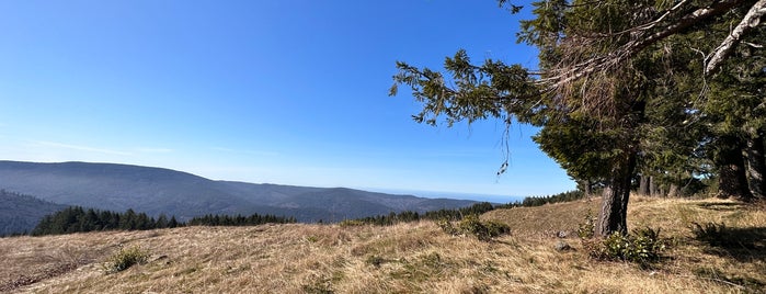 Redwood Creek Overlook is one of Tempat yang Disukai eric.