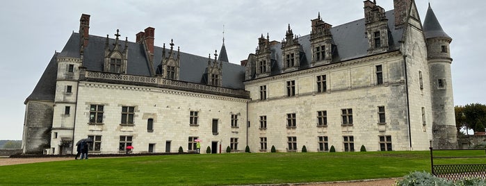 Château Royal d'Amboise is one of EU - Strolling France.