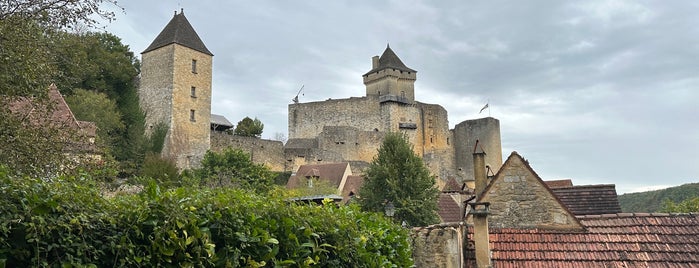 Château de Castelnaud is one of Le Midi.