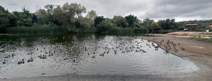 Kit Carson Park is one of San Diego.