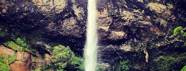 Bridal Veil Falls is one of Nieko’s Liked Places.