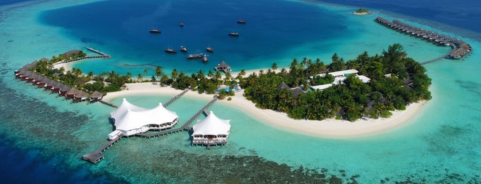 Safari Island Resort is one of Hotels.