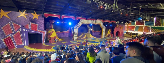 Madagascar Circus Show is one of Beto Carrero World.