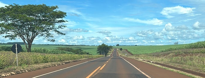 Haras Manoel Leão is one of Lugares bacanas em RP.