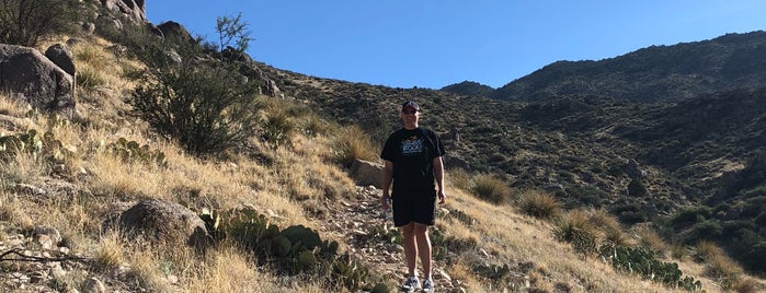 Albuquerque Foothills Hiking Trails is one of Fun stuff to try.