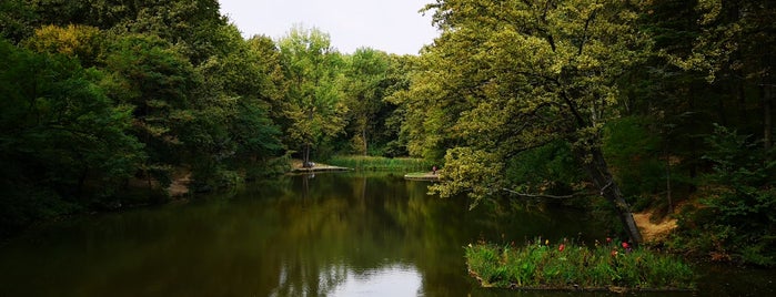 Jezero Trešnja is one of Moto ture.