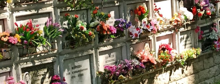 Большеохтинское кладбище (Георгиевское) is one of Idon'twantobeburiedinapetcemetery.