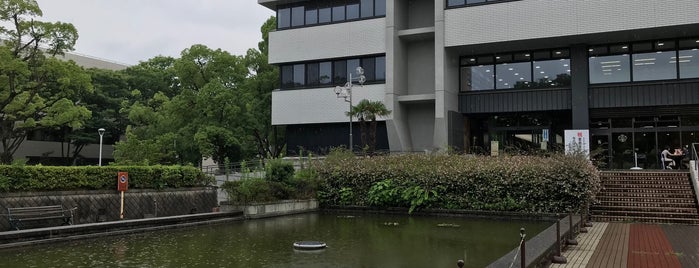 図書館前の池 is one of 謎なもの.