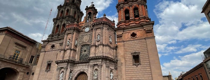 Catedral Metropolitana de San Luis Rey is one of México | San Luis Potosí.
