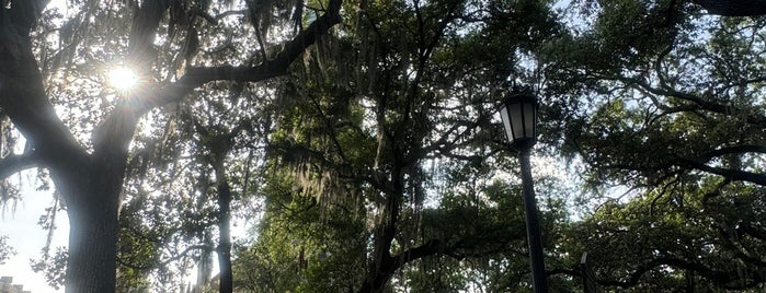 Madison Square is one of Savannah Must.