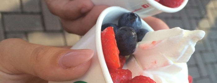 Frozen Yoghurt Company is one of Amsterdam.