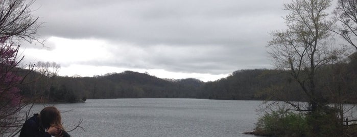 Radnor Lake State Park is one of 'Great Lakes' Within 150 Miles of Nashville.