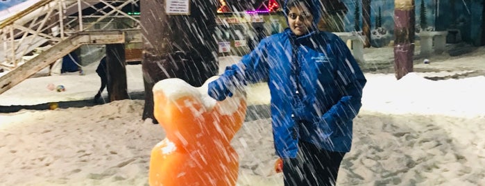 Snow World is one of Hyderabad - City of Pearls.