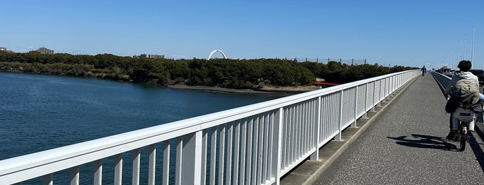 Shonan-ohashi Bridge is one of around Hiratsuka beach.