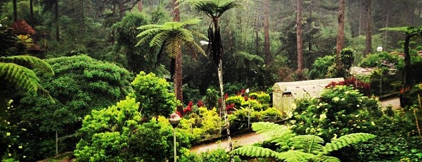 Baguio Botanical Garden is one of TRIP TO BAUIO.