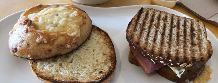 Panera Bread is one of The 15 Best Places for Bagels in Norfolk.
