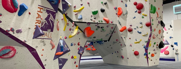 Harrowall Climbing Centre is one of Thierryさんのお気に入りスポット.