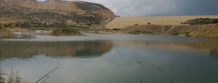Kralkızı Barajı is one of DİYARBAKIR 21.