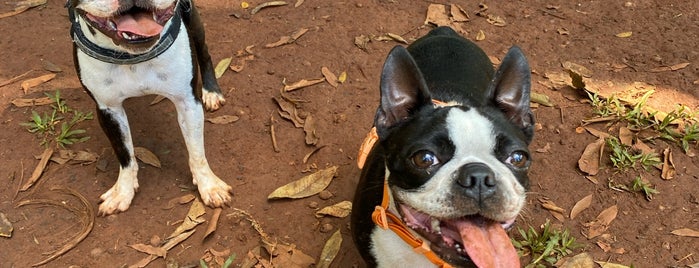 Praça dos Cachorros is one of Pet SP.