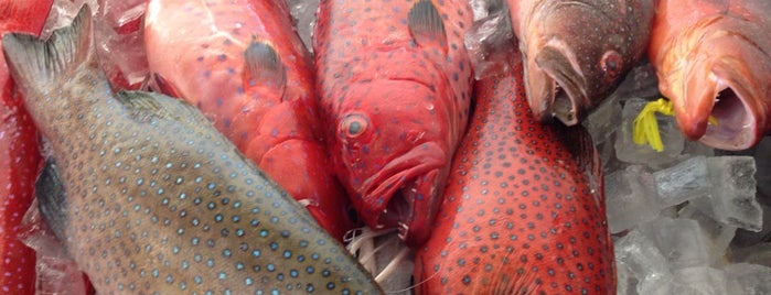 Alnajel For Fish is one of Yanbu.