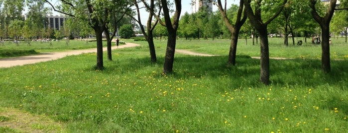 Пулковский парк is one of Парки Санкт-Петербурга [ЮЗ, Ю].