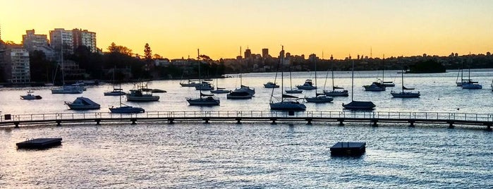 Blackburn Gardens is one of Best Picnic spots in and around Sydney.