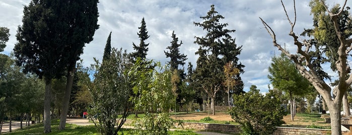 Nea Smirni Grove is one of Parks Athens.