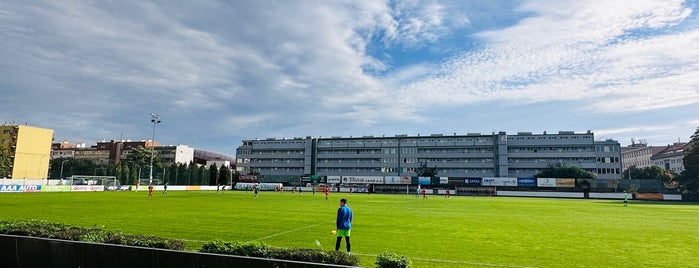 Stadion na Plynárně – FK Loko Vltavín is one of Fotbalové stadiony FNL 2013/2014.