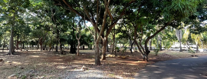 Parque Mirador Sur is one of Posti che sono piaciuti a Guillermo.