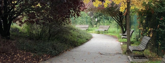 French Garden is one of Praha.