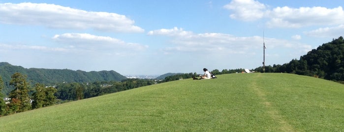 Aikawa Park is one of tetsu : понравившиеся места.