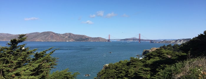 Lands End is one of The 15 Best Places with Scenic Views in San Francisco.