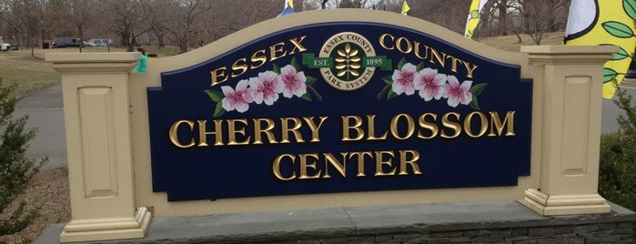 Cherry Blossom Center is one of Newark.