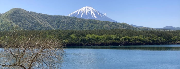 Lake Saiko is one of Fuji.